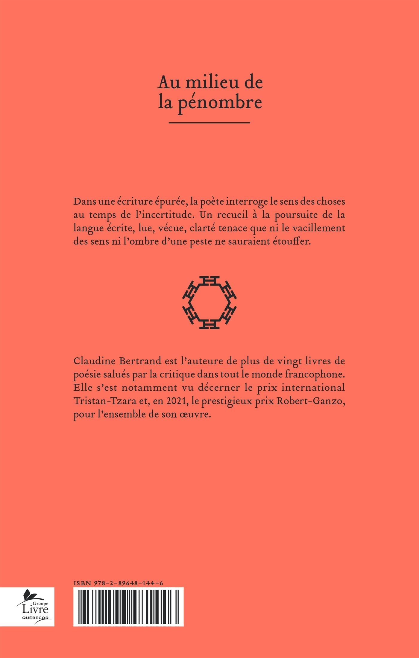 Couverture du livre de Au milieu de la pénombre - papier format