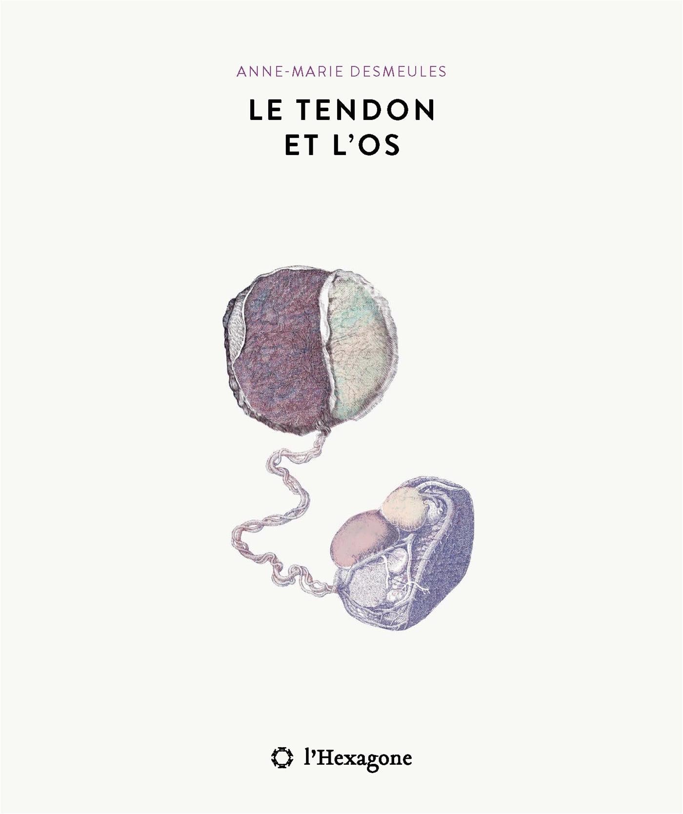 Couverture du livre de Le tendon et l'os - papier format